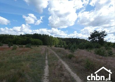 działka na sprzedaż 69900m2 działka Łąg-Kolonia