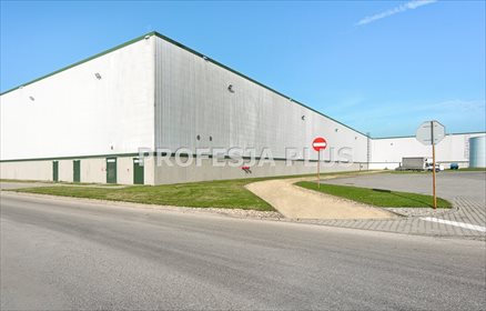 lokal użytkowy na wynajem 8200m2 lokal użytkowy Sosnowiec