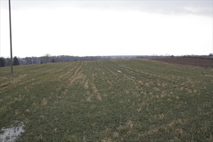 Do sprzedania działka budowlana 2200 m² w Tomaszowicach działka Tomaszowice