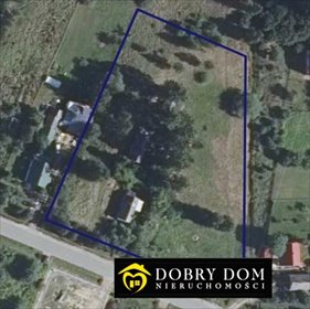 Polecam dużą działkę 7000 m² z domem do remontu i możliwością podziału działka Hajnówka