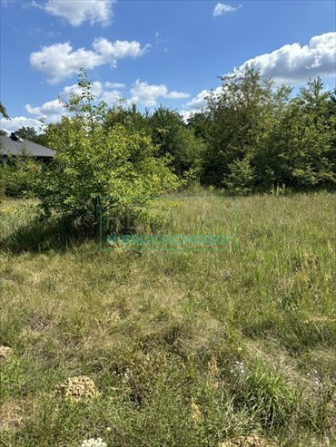 działka na sprzedaż 3315m2 działka Jaktorów-Kolonia