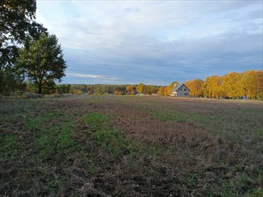 działka na sprzedaż 1596m2 działka Dąbrówka Strumiany, Cegielniana