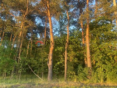 Działka 1600 m² z lasem, media, spokojna okolica działka Kędzierzyn-Koźle, Kłodnicka