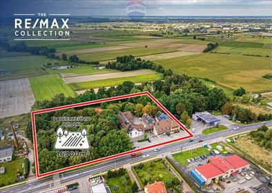 lokal użytkowy na wynajem 1920m2 lokal użytkowy Krotoszyn, Zdunowska