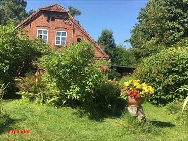 Dom z potencjałem blisko morza, 130 m², działka 4000 m² dom Pieńkowo