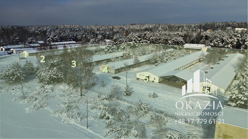 działka na sprzedaż 51900m2 działka Wysoka Głogowska