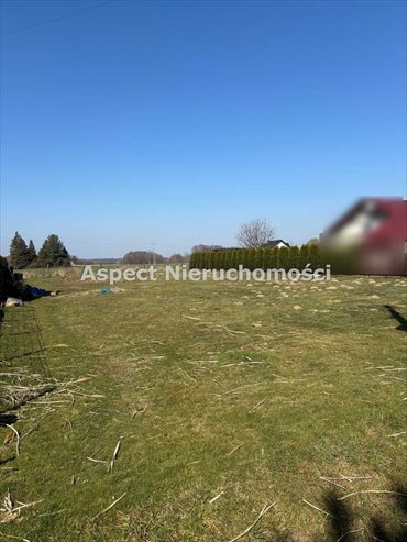 Działka budowlana na sprzedaż Pielgrzymowice 973m2 Foto 4