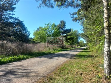 działka na sprzedaż 1300m2 działka Łoś