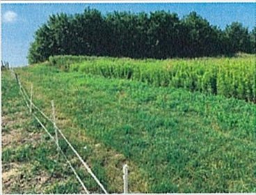 działka na sprzedaż 5600m2 działka Grabno