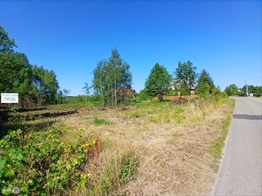 Sprzedam działkę 9 100 m² w Ociesękach, z możliwością zabudowy działka Raków, Ociesęki