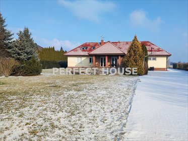 lokal użytkowy na wynajem 318m2 lokal użytkowy Poznań, Pokrzywno