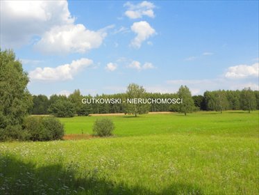 Działka 10,66 ha nad jeziorami z lasem - polecam! działka Otręba