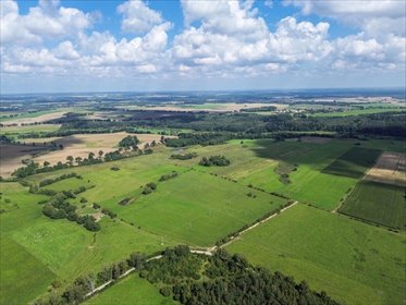 działka na sprzedaż 391100m2 działka Godkowo, Dąbkowo