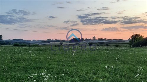 Działka rolna 1921 m² z mediami i dobrym dojazdem działka Strzegocin