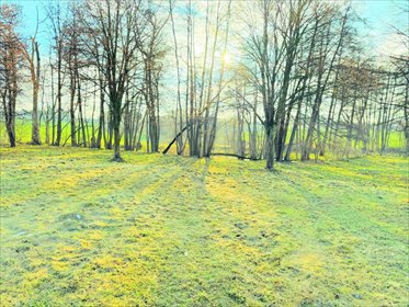 działka na sprzedaż 2100m2 działka Baranowo