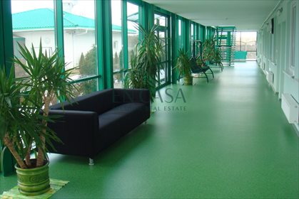 Lokal użytkowy na sprzedaż Nadma, Pólko 1 300m2 Foto 5