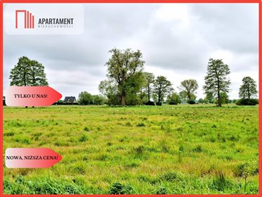 Na sprzedaż działka pod zabudowę 730 m² w Dziemionnie działka Dziemionna
