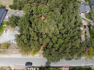Działka leśna na sprzedaż Pożdżenice 6 206m2 Foto 5
