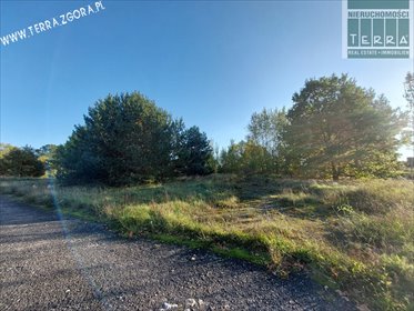 działka na sprzedaż 4053m2 działka Grabowiec