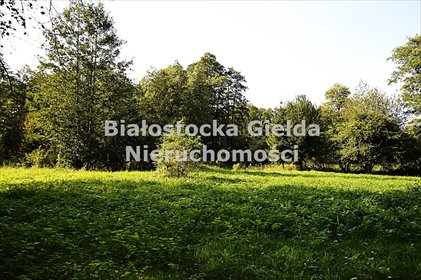 działka na sprzedaż 3595m2 działka Klewinowo