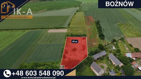 Działka 0,55 ha z WZ pod dom w Bożnowie. działka Bożnów, Bożnów
