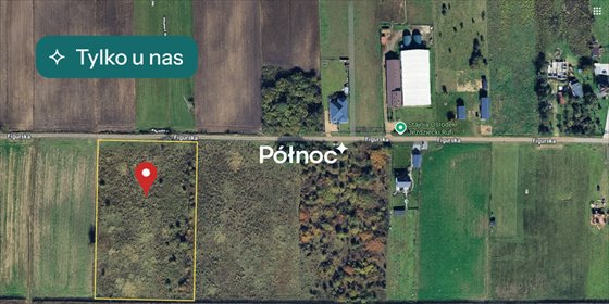 działka na sprzedaż 12900m2 działka Żuraw, Figurska