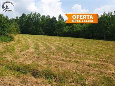 Działka rolna 54 a z możliwością zalesień, prąd, las działka Włosań
