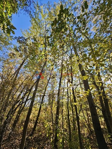 działka na sprzedaż 1800m2 działka Magdalenka