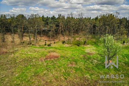 Działka budowlana na sprzedaż Izabelin-Dziekanówek 15 000m2 Foto 5