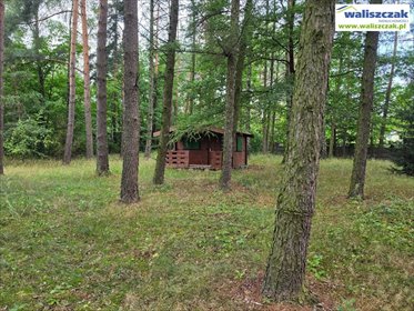 Działka z domkiem i garażem w Bądzyńiu - polecam! działka Bądzyń