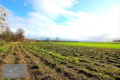 Działka budowlana na sprzedaż Kamienna 1 105m2 Foto 5