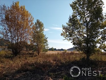 działka na sprzedaż 3800m2 działka Podolszyn Nowy, Długa