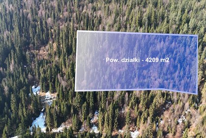 działka na sprzedaż 4209m2 działka Ostrowsko