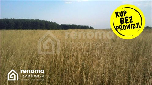 działka na sprzedaż 17194m2 działka Koszalin