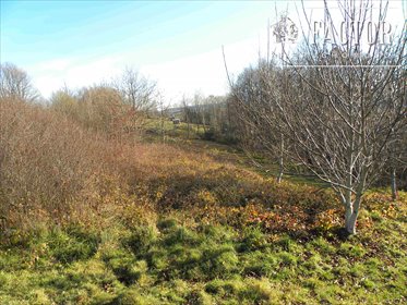 działka na sprzedaż 1400m2 działka Siołkowa