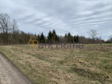 Działka budowlana na sprzedaż Dębno 36 000m2 Foto 6