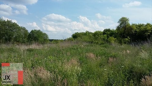 działka na sprzedaż 1005m2 działka Poznań, Umultowo, Dolna