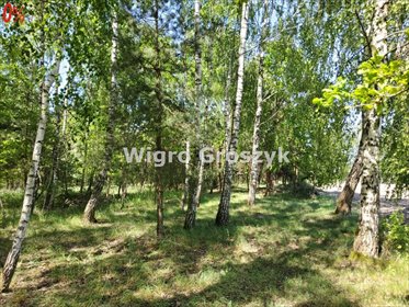 Działka 1301 m² z lasem i mediami, dobry dojazd działka Pawłowice, Pawłowice