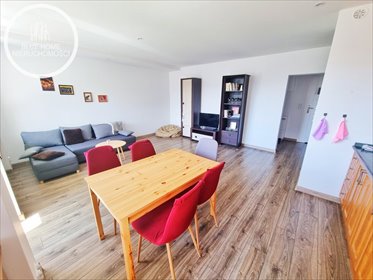 mieszkanie na wynajem 53m2 mieszkanie Chełm, Słonecze, Karłowicza