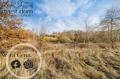 Działka rolna 7200 m² z dostępem do mediów - blisko szkoły działka Bączal Dolny
