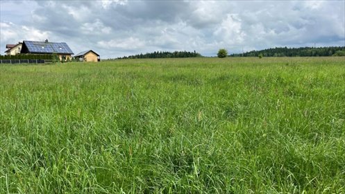 Działka budowlana 1250 m² z pozwoleniem na zabudowę działka Skawa, Do Potoka