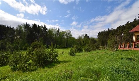 działka na sprzedaż 1208m2 działka Gołubie, Jarzębinowa