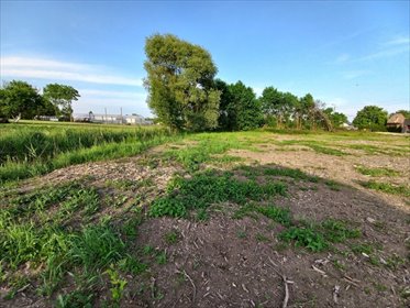 działka na sprzedaż 890m2 działka Suszec, Brzozowa