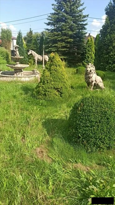 Działka z ogrodem, domkiem i fontanną w Rudnikach działka Rudniki