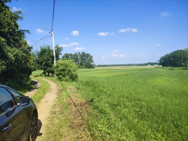 działka na sprzedaż 1500m2 działka Pilitowo