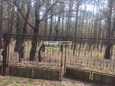 Działka leśna 2000 m² w Gostkowie - zapraszam działka Gostkowo, Gostkowo