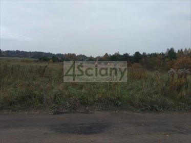 działka na sprzedaż 10200m2 działka Zalesie