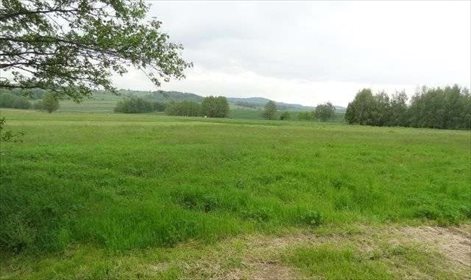 Działka inna na sprzedaż Klimkówka 3 000m2 Foto 3