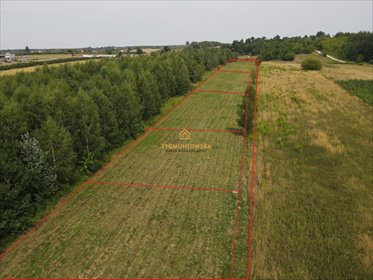 działka na sprzedaż 9806m2 działka Nowe Miasto nad Pilicą, Pobiedna