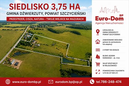Przestronna działka 3,75 ha z stawami i potencjałem działka Dźwierzuty